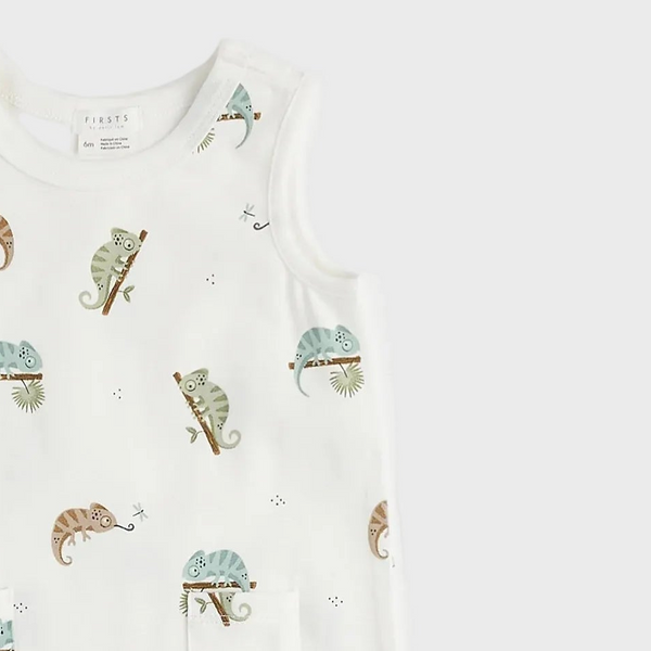 The Chameleon Story Romper