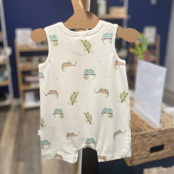 The Chameleon Story Romper